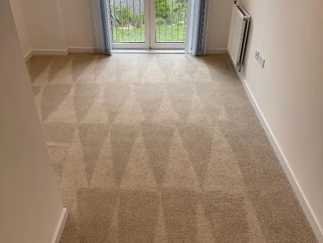 Carpet cleaning